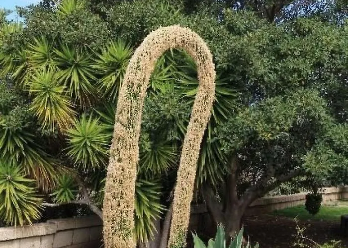 Casa Sevilla By Interhome * Guía de Isora